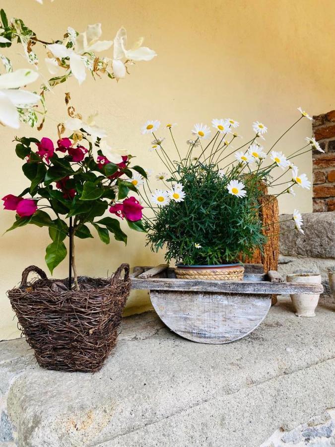 Dobre Casy - Studio I. Banská Štiavnica Exteriér fotografie